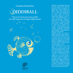 Diddiball-copertina